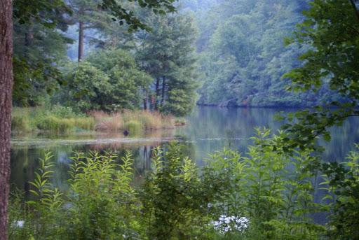 Cascade Lake Recreation Area & Campground - Pisgah Forest, North Carolina  US